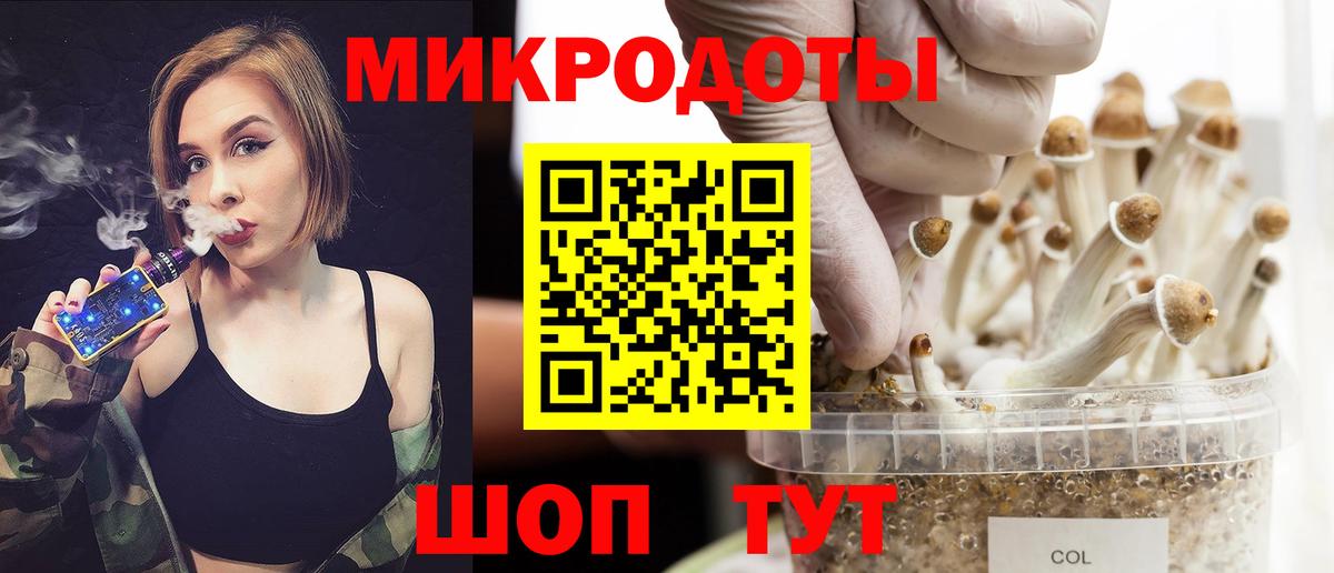 Псилоцибиновые грибы мицелий Междуреченск