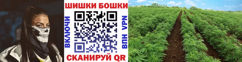 Канабис сатива Междуреченск